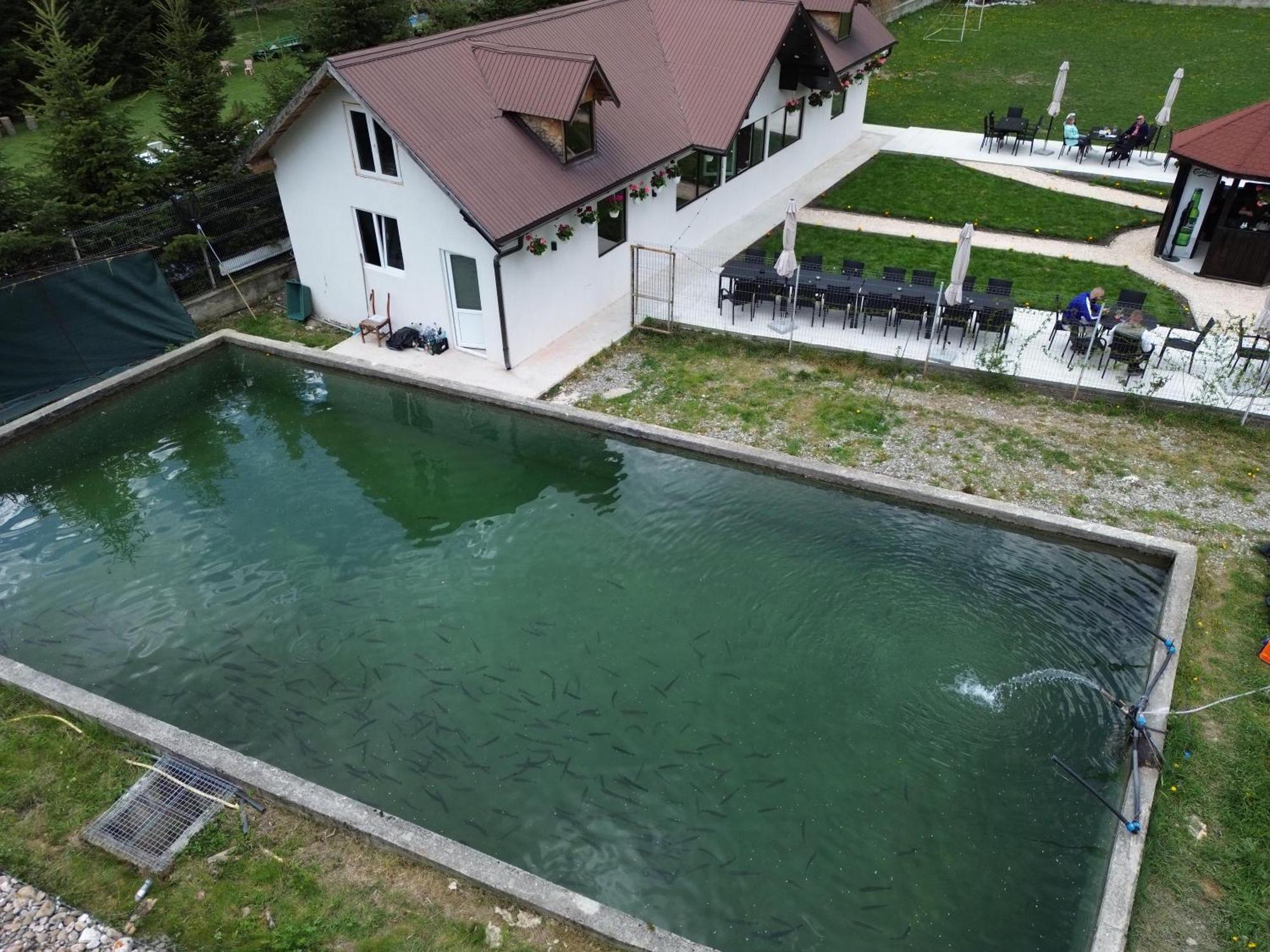 Cabana Izvoarele Doftanei Traisteni Экстерьер фото